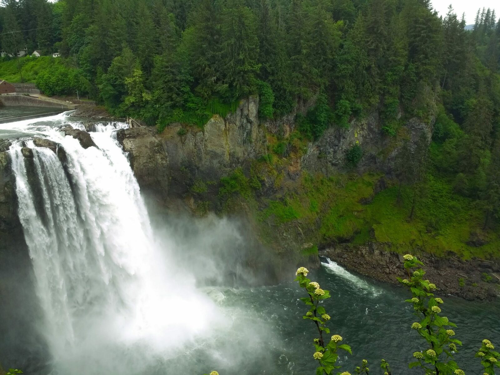 A wide and tall waterfall going over a cliff in the forest to the river below