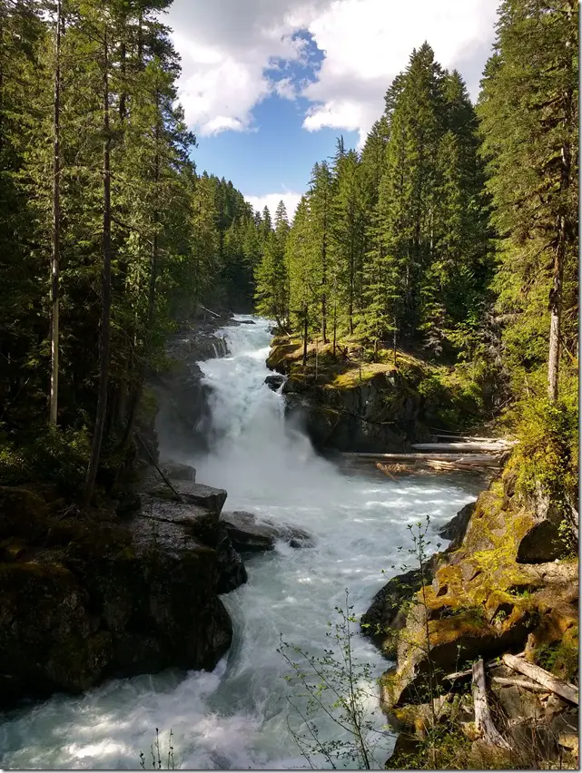 A waterfall in a forest of tall evergreen trees falling between granite sides of a small canyon.