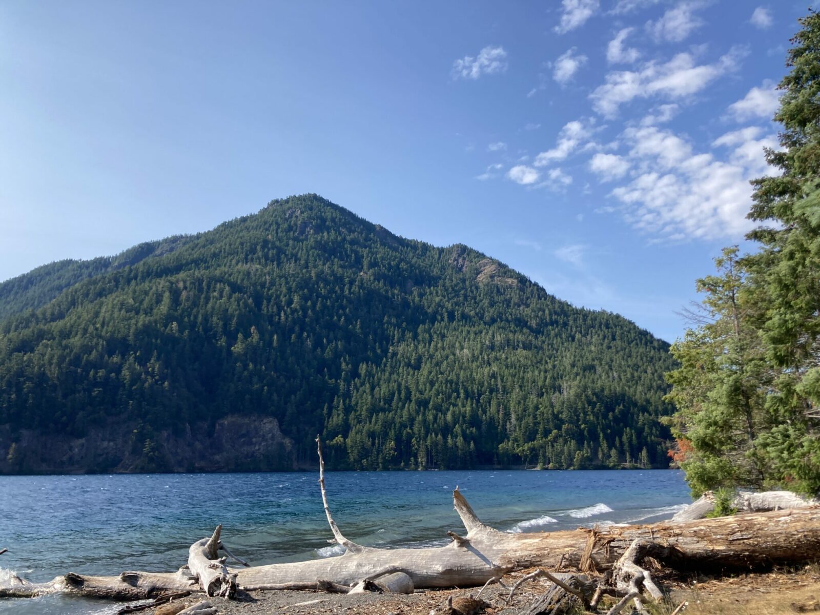 Forested hillsides surround a blue alpine lake. There is some driftwood in the foreground