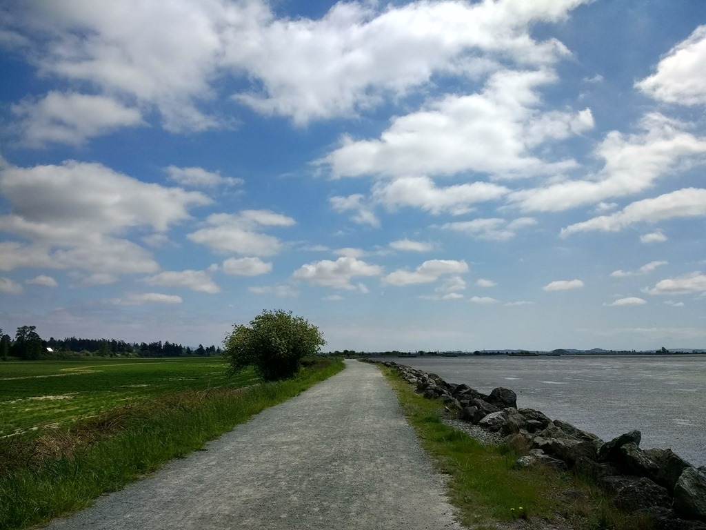 best winter salish sea beach walks padilla bay trail