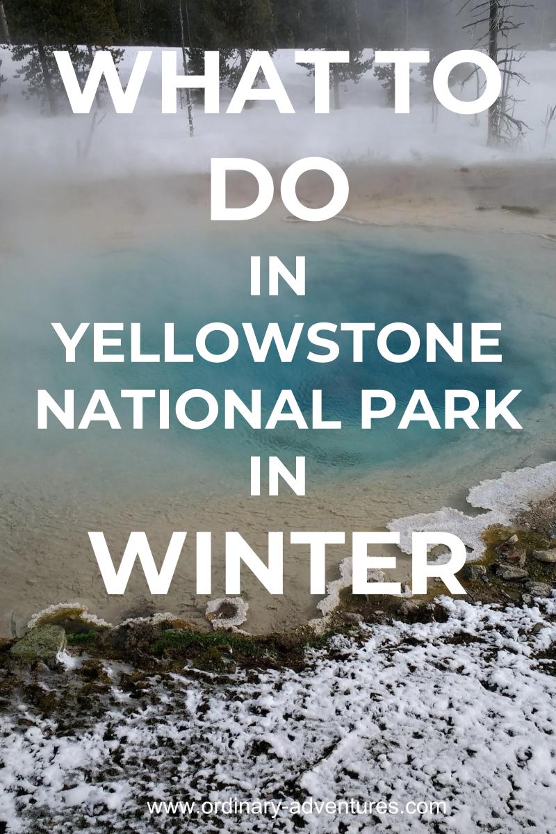 How to Visit Yellowstone in Winter Ultimate Guide to the Park's Best