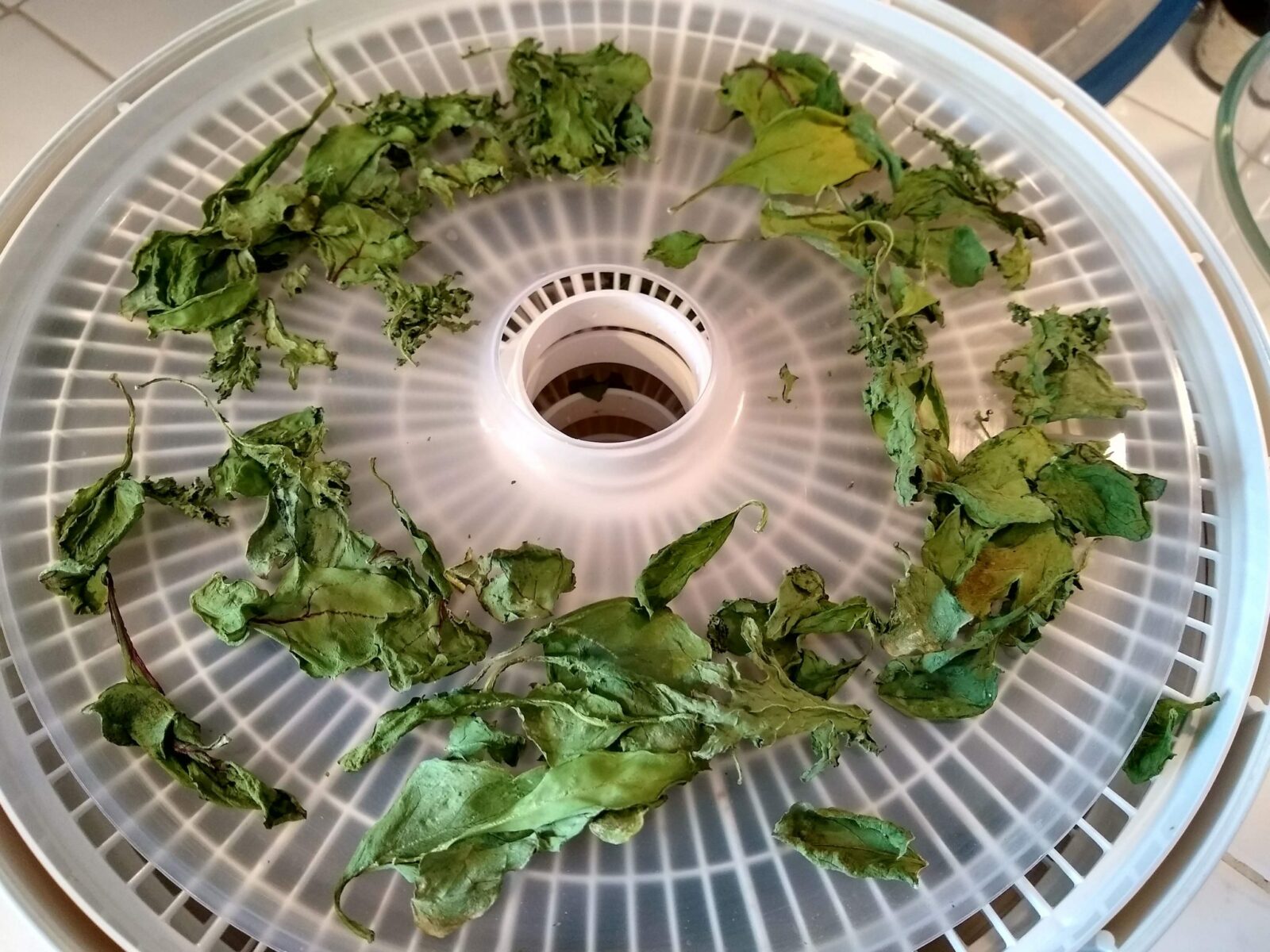 How to Dehydrate Vegetables for Backpacking Ordinary Adventures