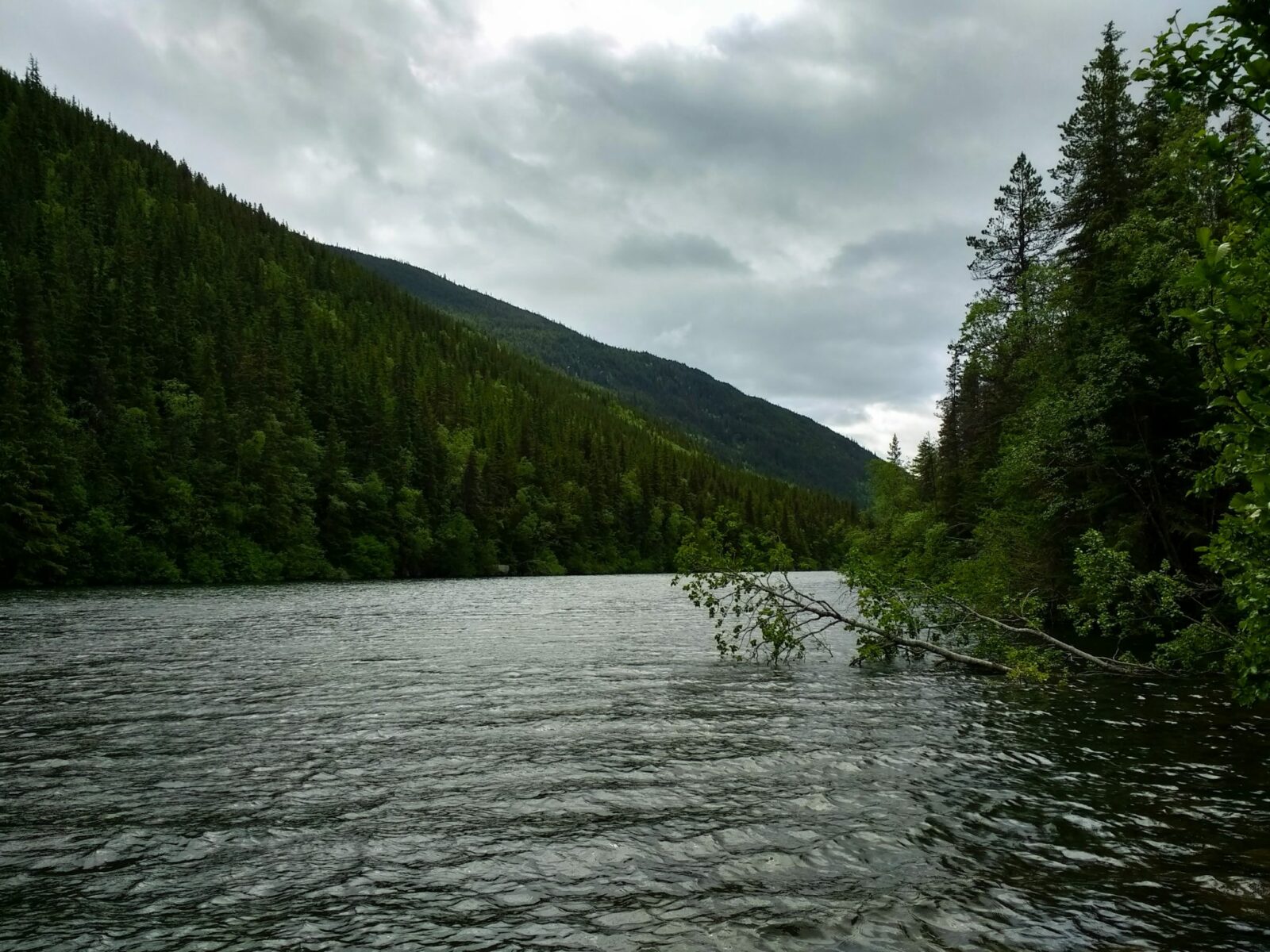 An alpine lake surrounded by forested mountains on a cloudy day