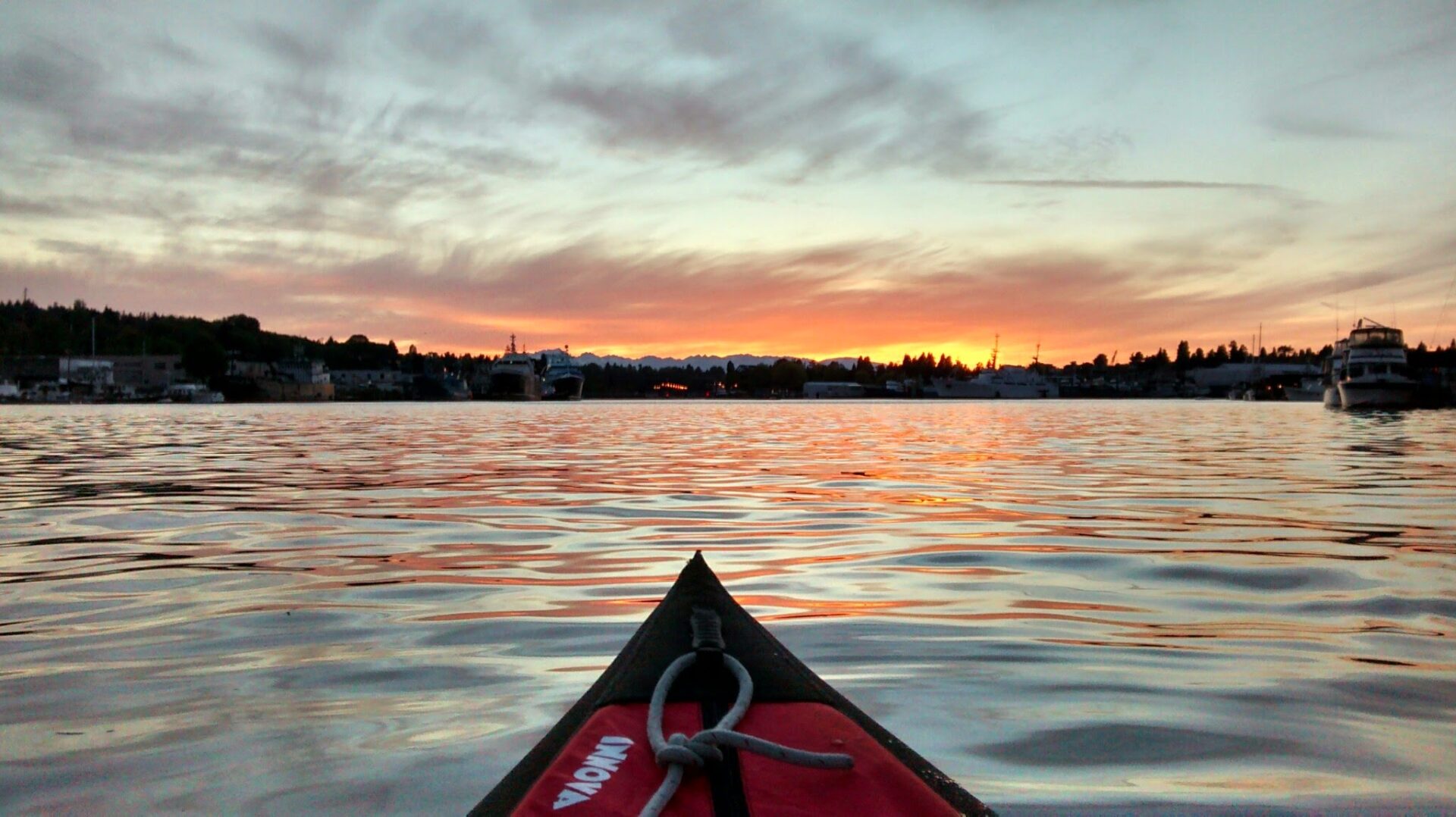 Where can I Rent Kayaks in Seattle? Ordinary Adventures