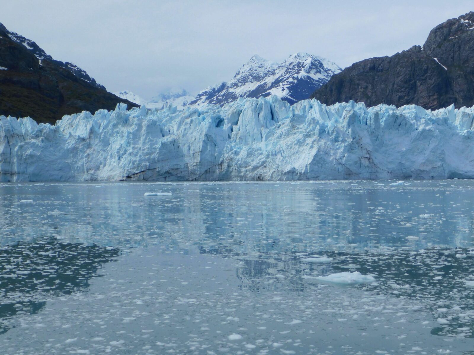 Mountains and a glacier are reflected in the water which has lots of little pieces of ice in it on a visit to Glacier Bay national park