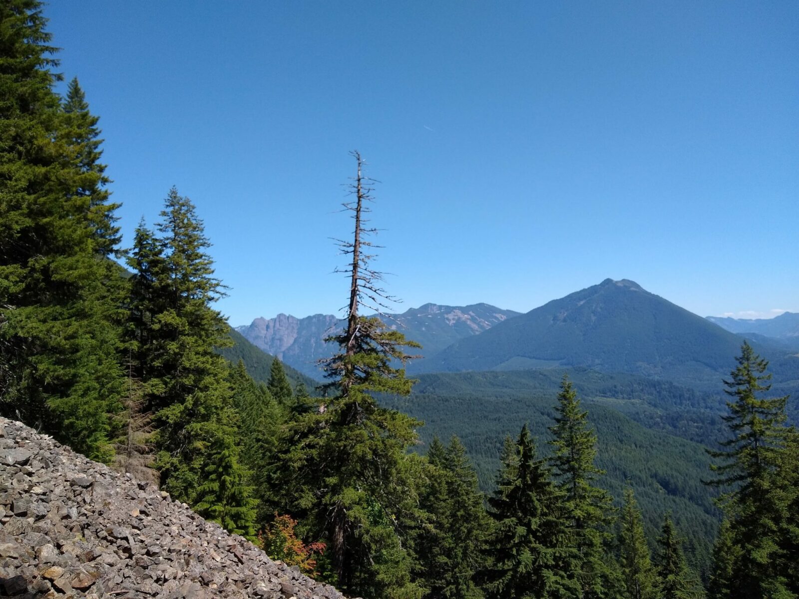 10 Best Hikes near North Bend that aren't Mt Si Ordinary Adventures