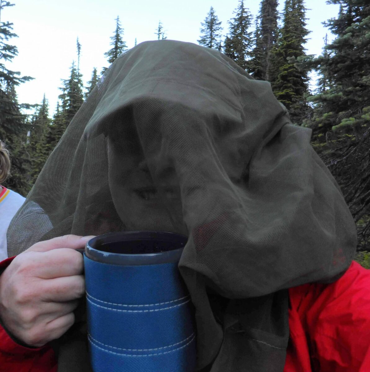 How to Deal with Mosquitoes in Alaska (and elsewhere) Ordinary Adventures