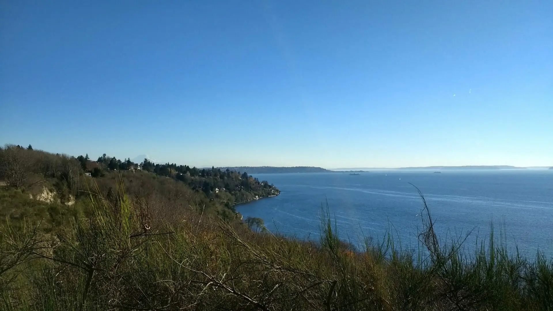 View of the Salish Sea on a sunny day from a bluff high above. Ferries are visible in the water