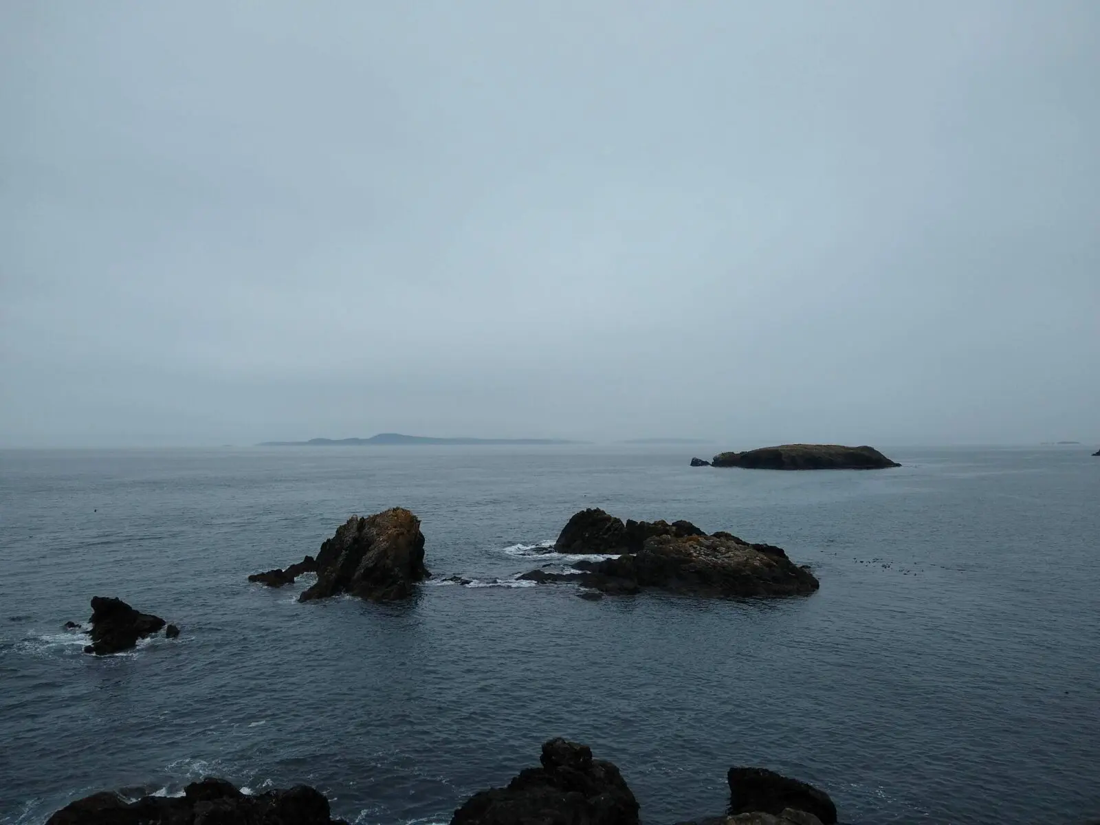 A group of rocks in the water on a foggy day off the shore