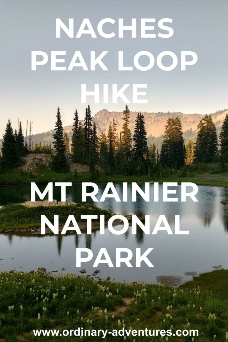 Naches Peak Loop Hike: Summer wildflowers, fall colors, epic views ...