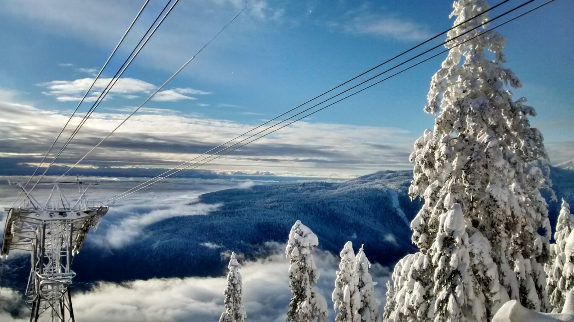 Snowy trees under a chairlift with forested and snowy mountains below. Clouds cover the valley below and it's sunny above