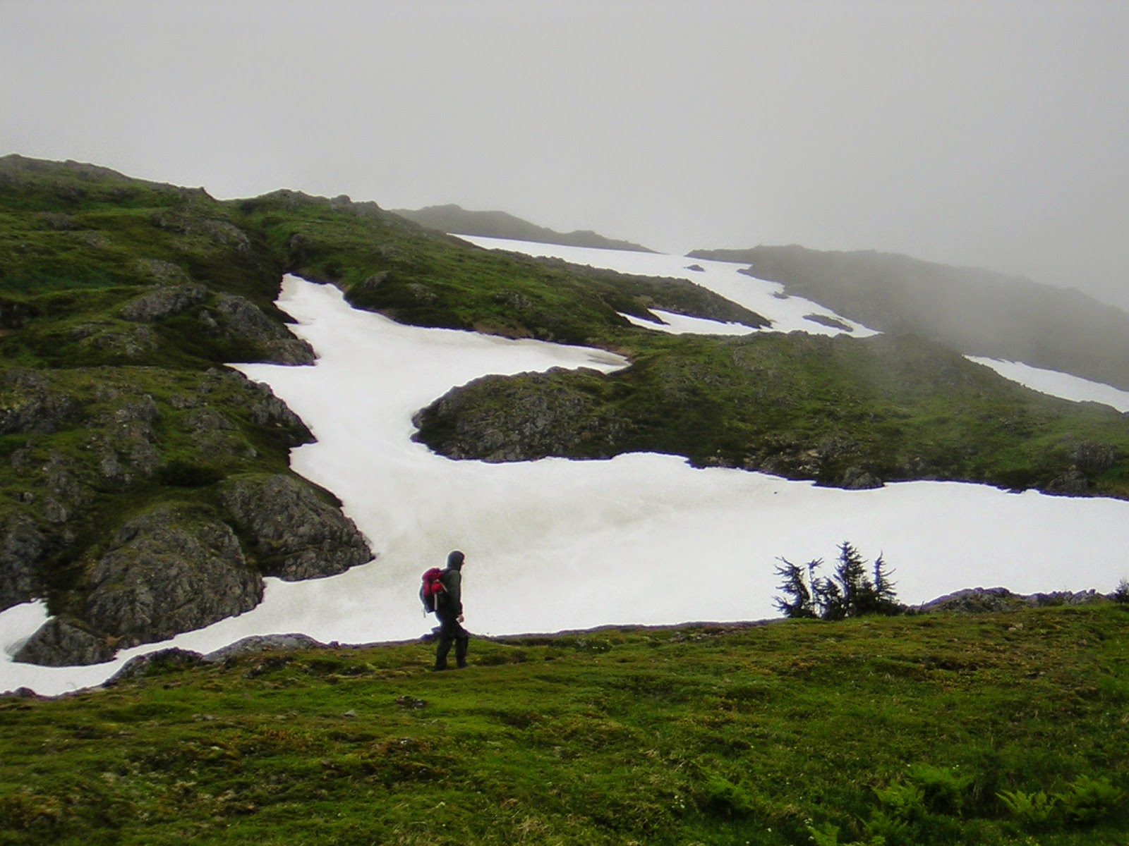 A person wearing a rain jacket with a hood and backpack hiking across a grassy alpine meadow with a few snow patches left on a foggy day on Mt Roberts in Juneau Alaska