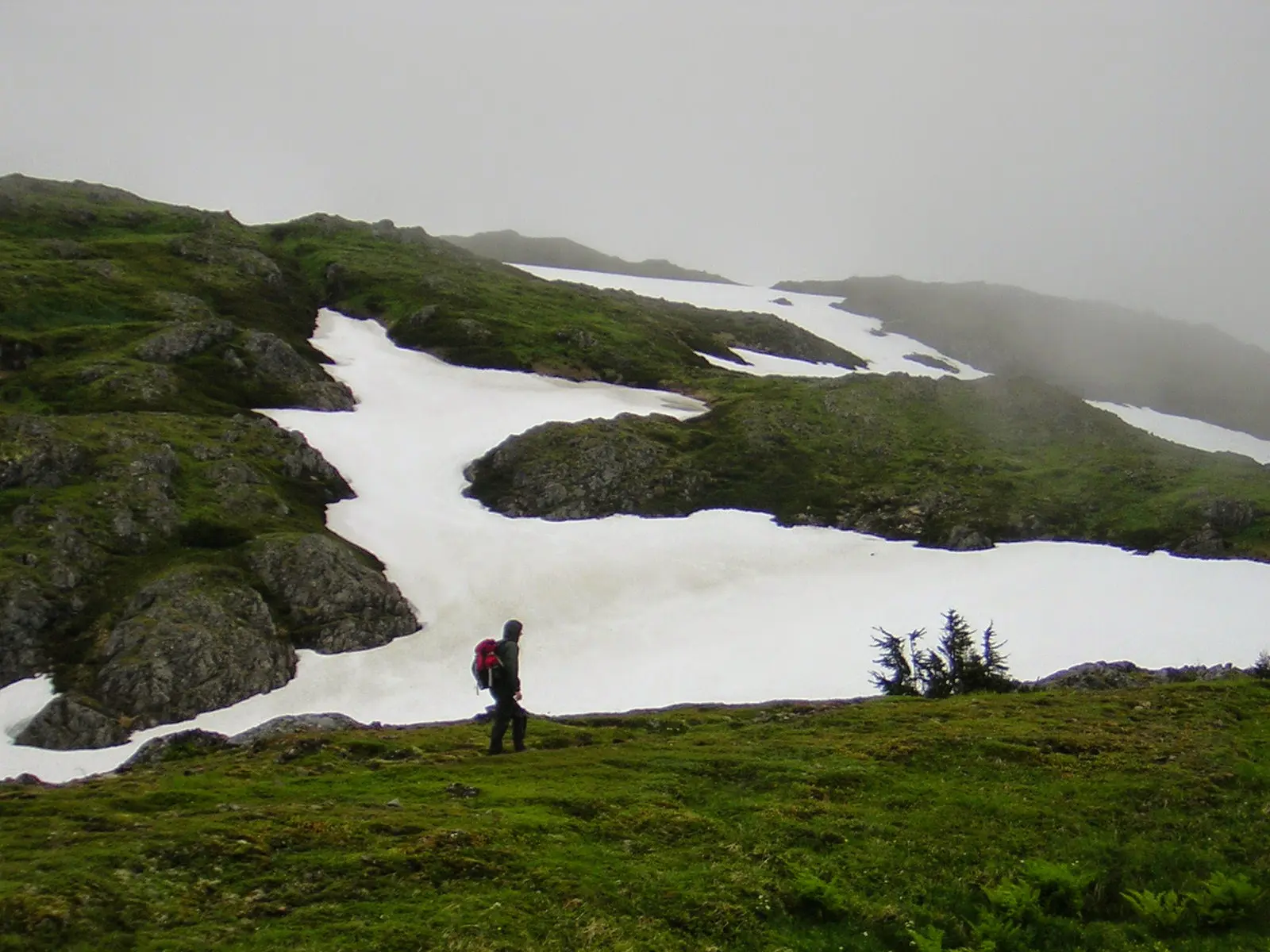 A hiker walking through a meadow in the fog with green hills and snow fields behind them
