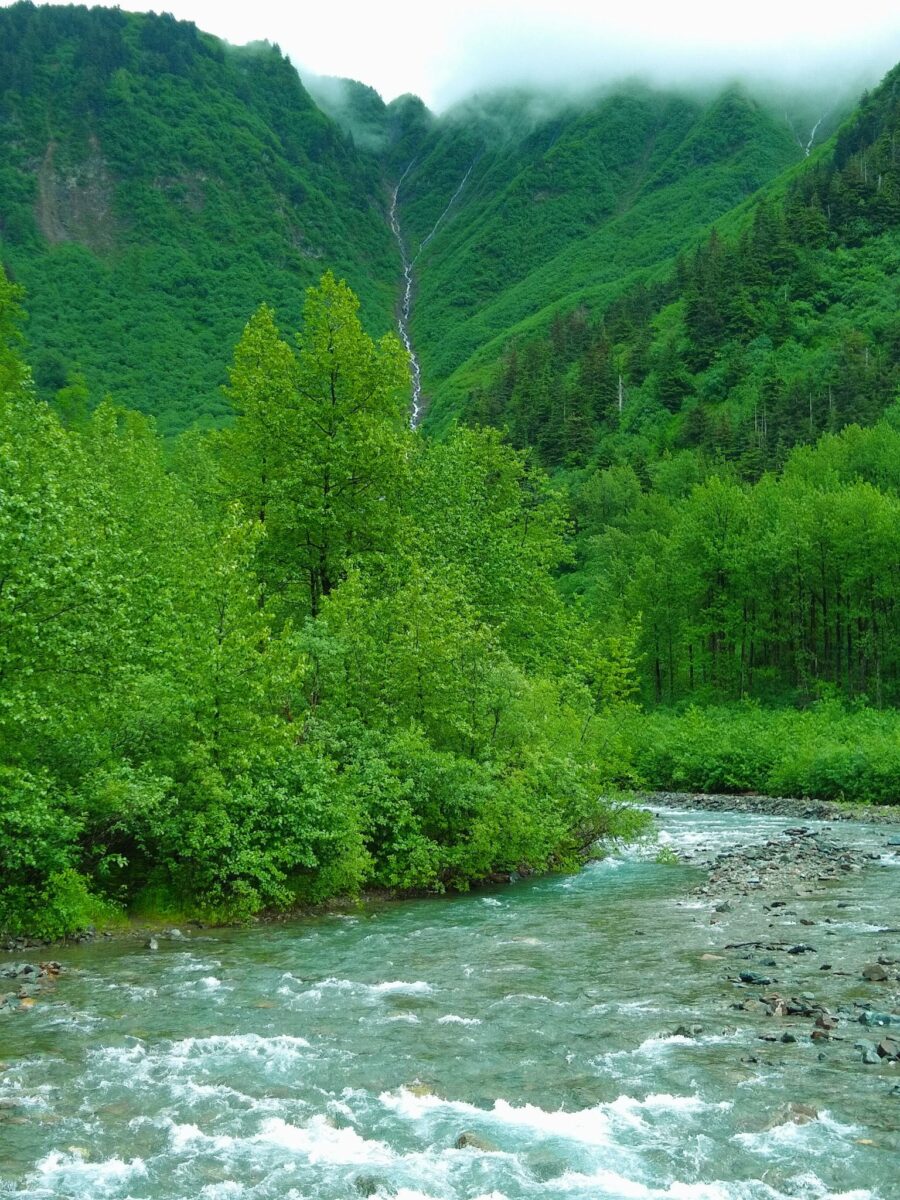 A green forested hillside with a river in the foreground
