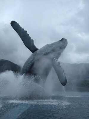 A life like statue of a humpbackwhale breaching surrounded by a fountain in Juneau Alaska