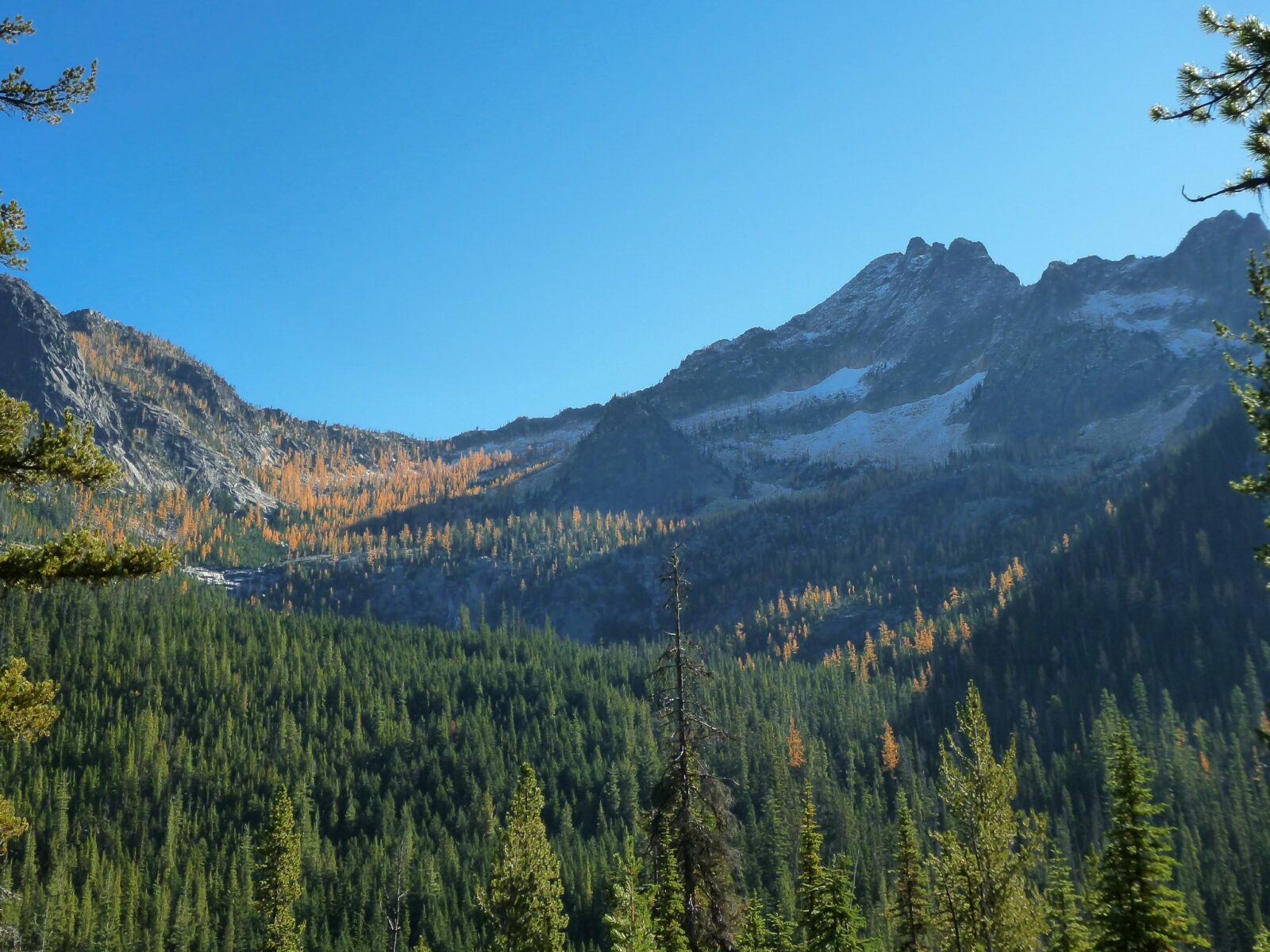 High mountains with a dusting of snow above a valley filled with evergreen trees and golden larch trees in the fall. It's a blue sky sunny day.
