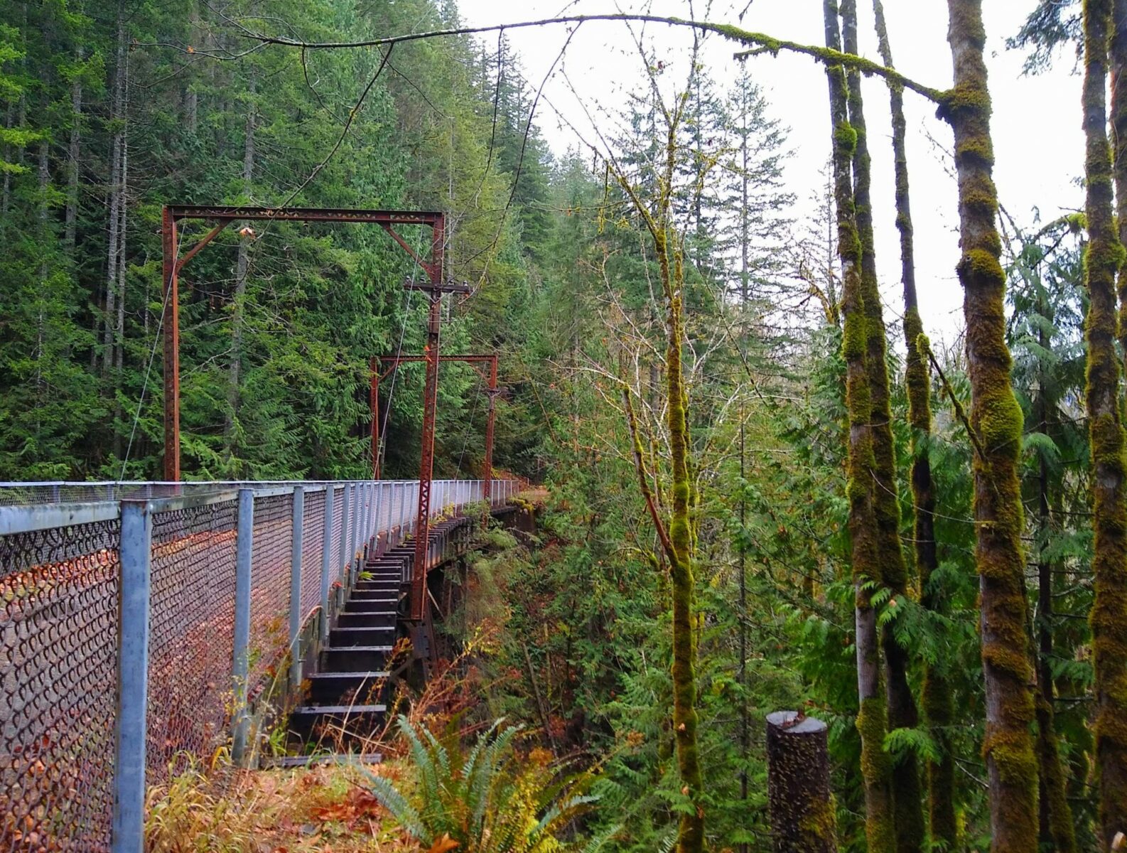 Iron Horse Trail in North Bend Ordinary Adventures