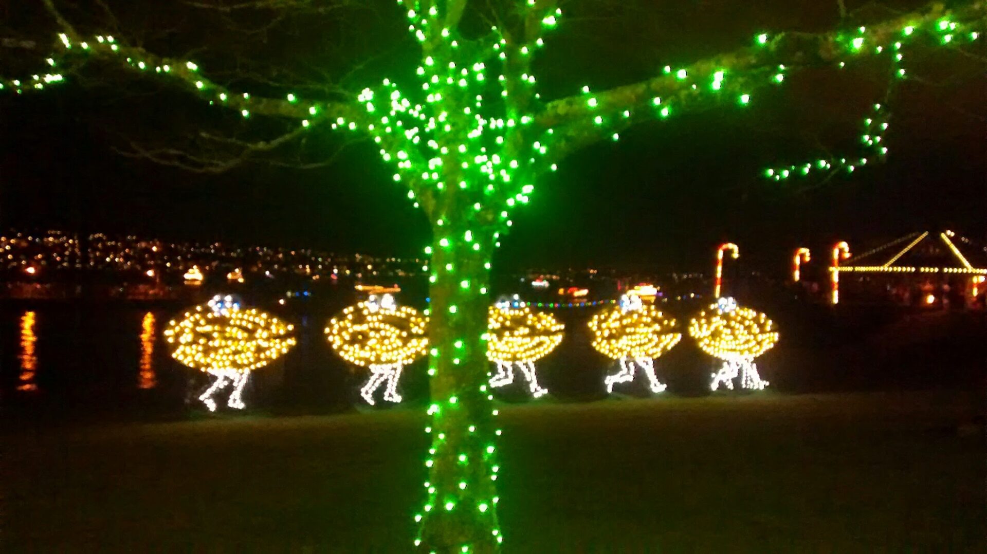 Seattle Outdoor Holiday Activities Ordinary Adventures