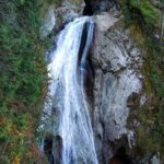 A wide and high waterfall cascades over a vertical rock face. There are trees and green shrubs around it