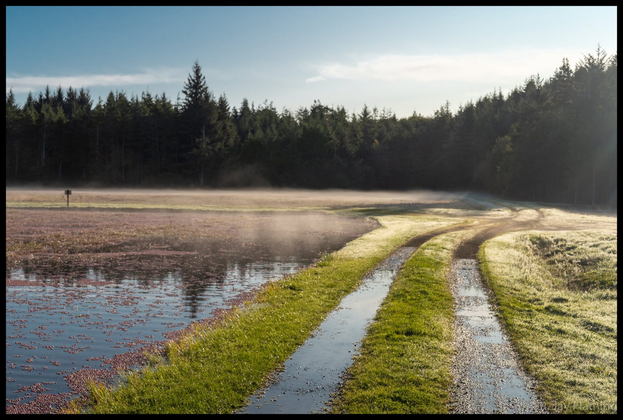 Inside the Washington Cranberry Bog Ordinary Adventures