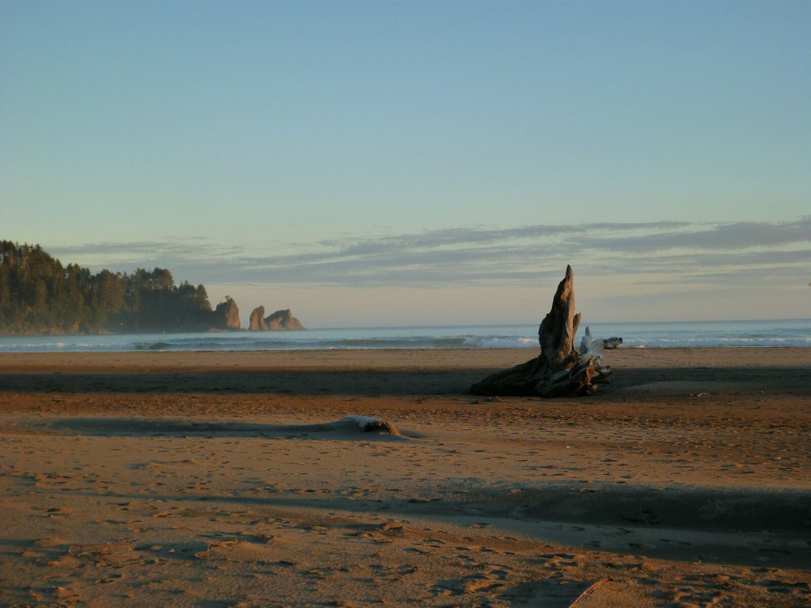 A sandy beach at dusk with piled rocks and forest in the distance