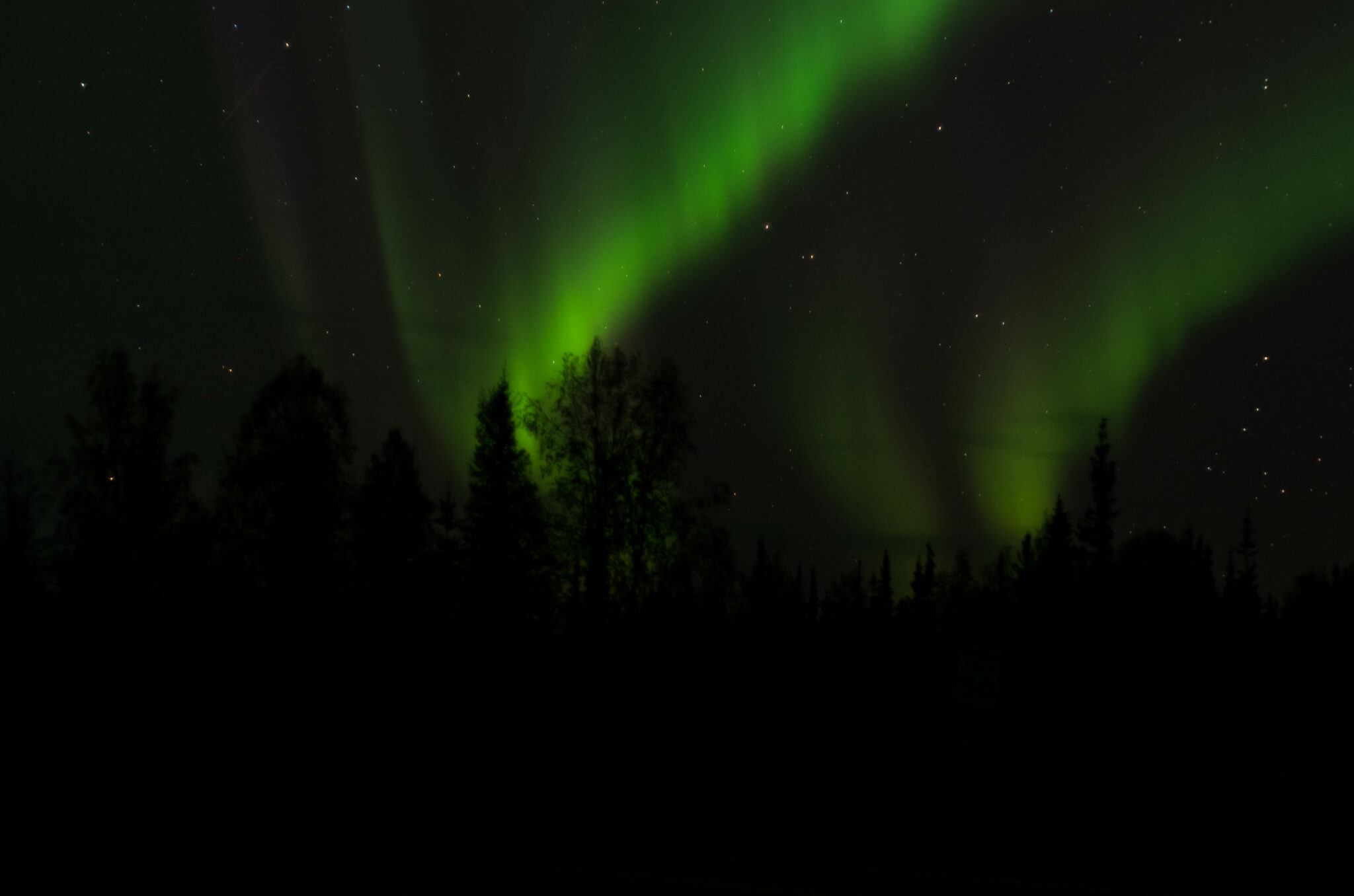 Why March is the Best Time to Visit Fairbanks Alaska Ordinary Adventures