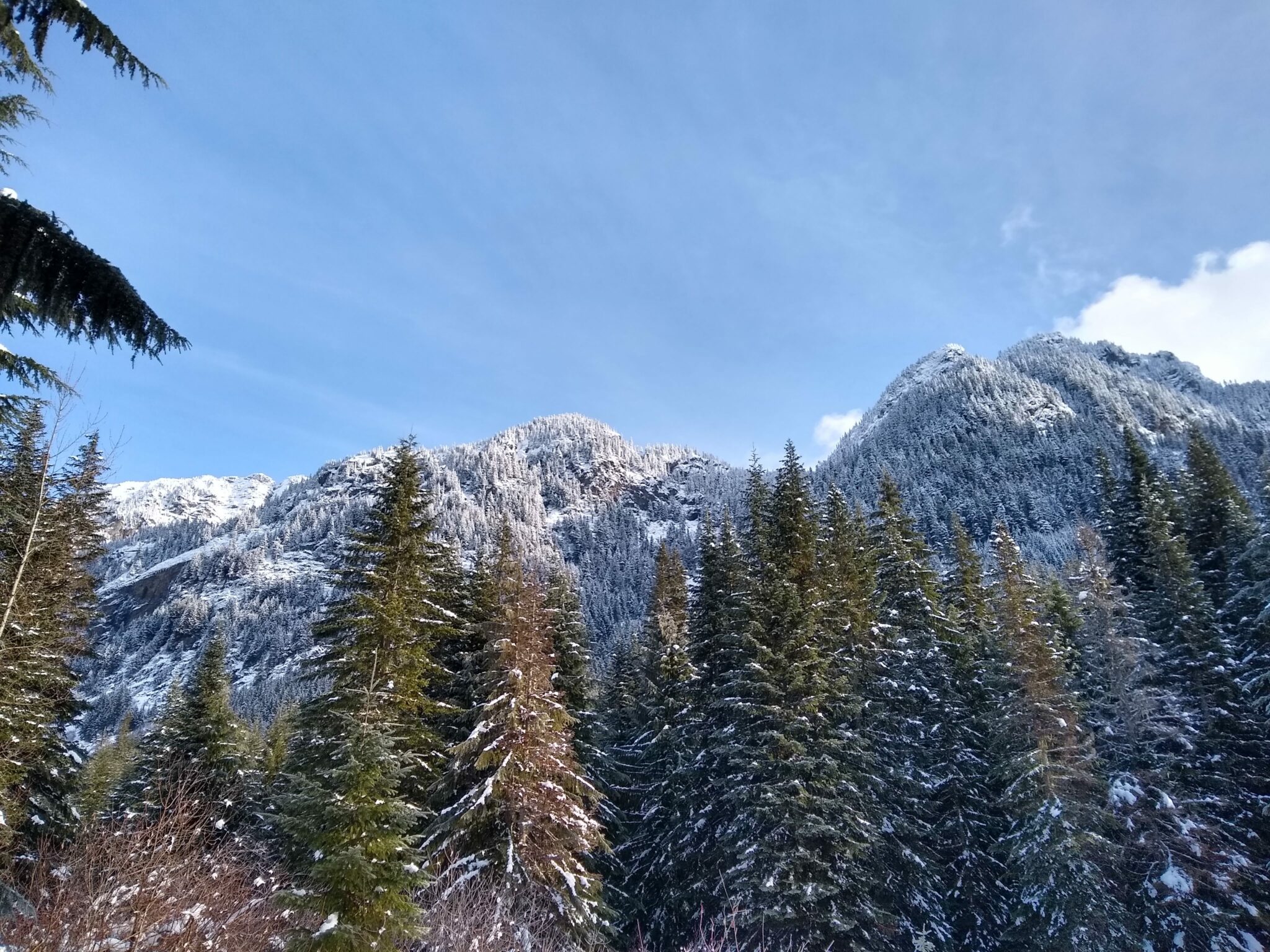 Snowshoeing near Seattle Best Beginner Routes Ordinary Adventures