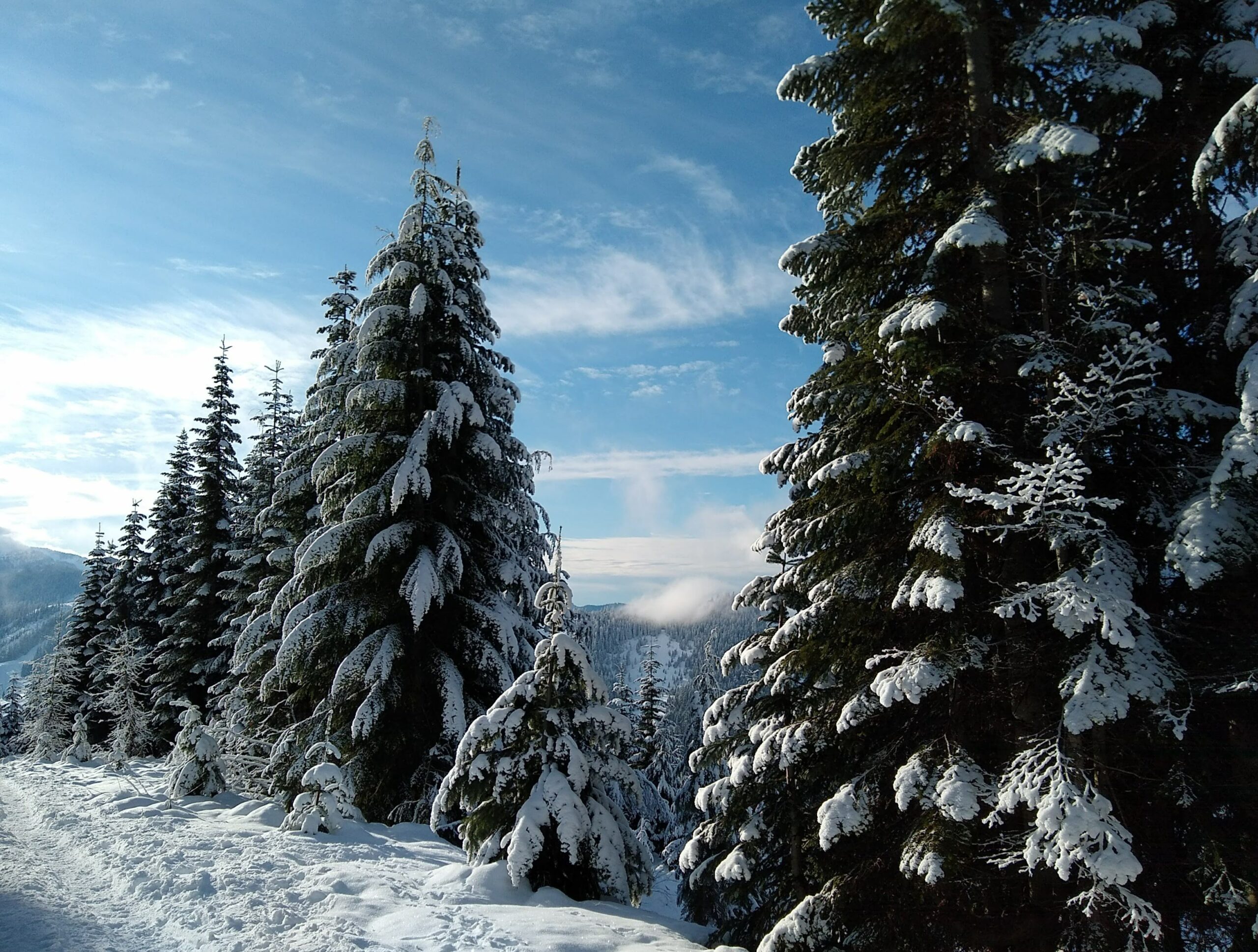 Snowshoeing near Seattle Best Beginner Routes Ordinary Adventures
