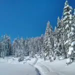 Skyline lake snowshoe trail takes you to beautiful frozen Skyline lake, surrounded by snowy forests