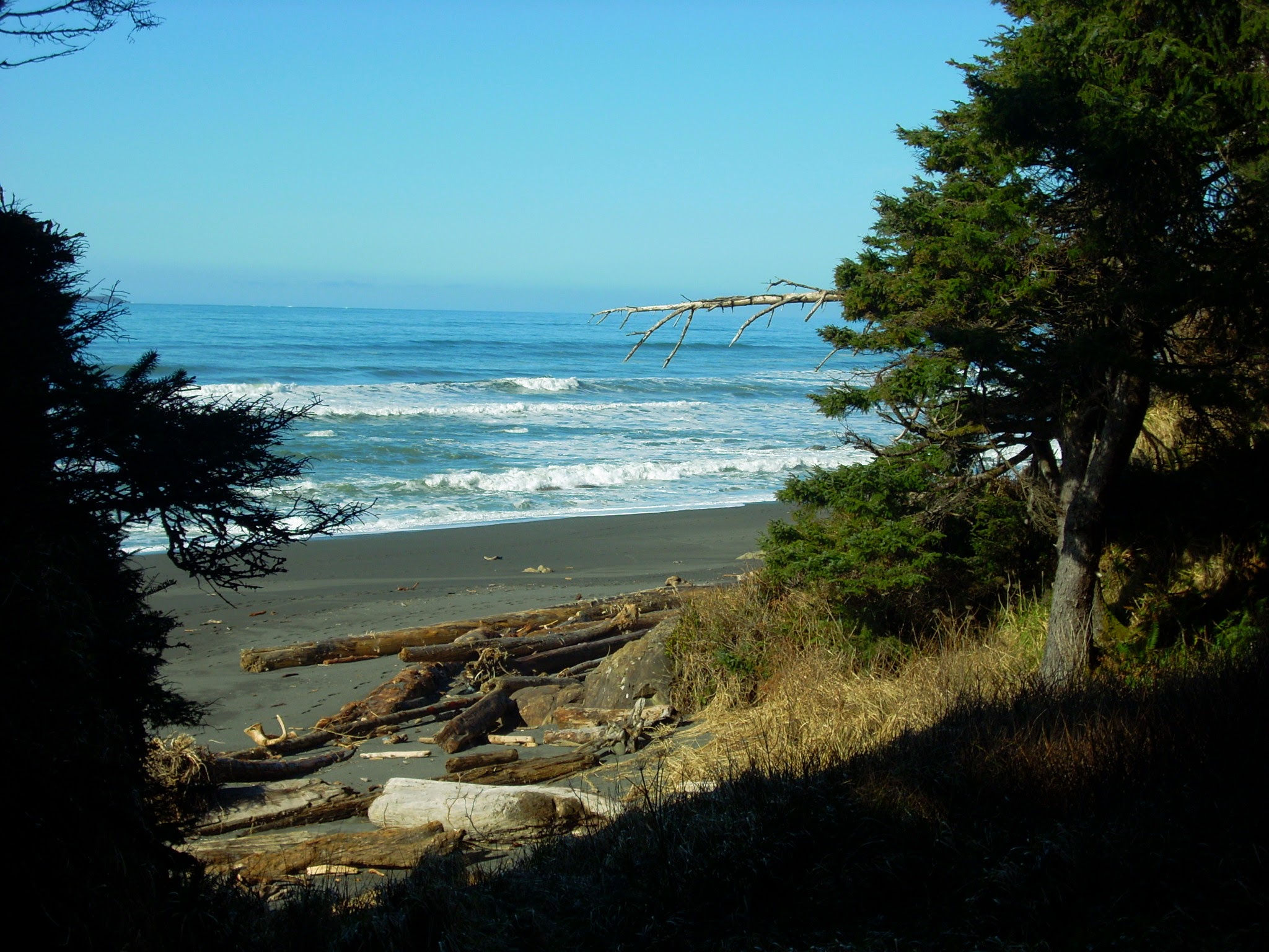 The 15 Best Washington Beaches Ordinary Adventures