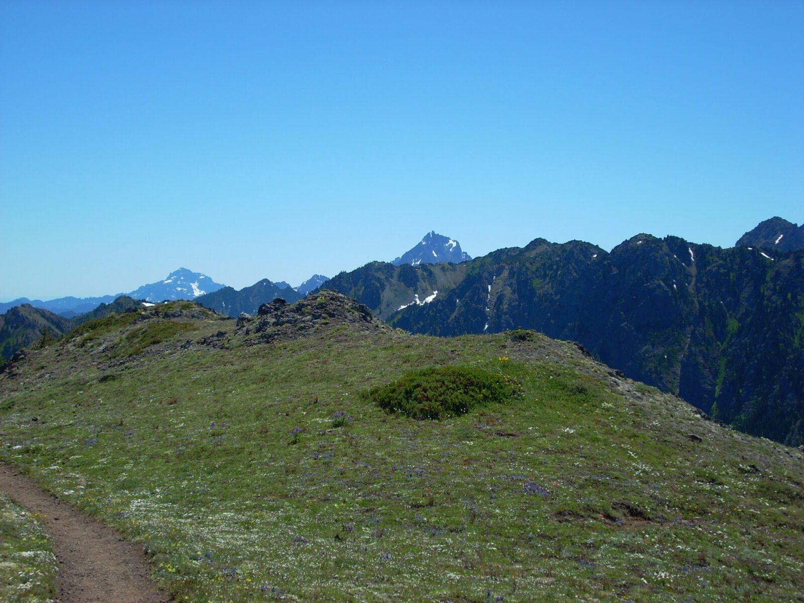 Mt Townsend Hike Epic Olympic Mountain Views Ordinary Adventures