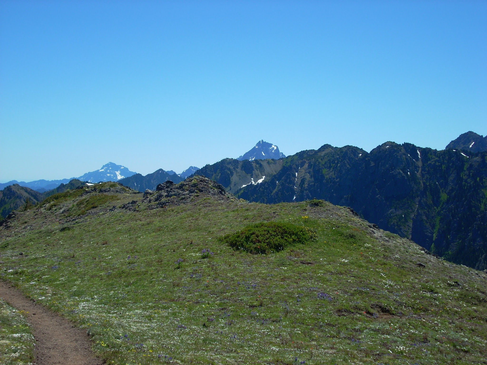 Mt Townsend Hike Epic Olympic Mountain Views Ordinary Adventures