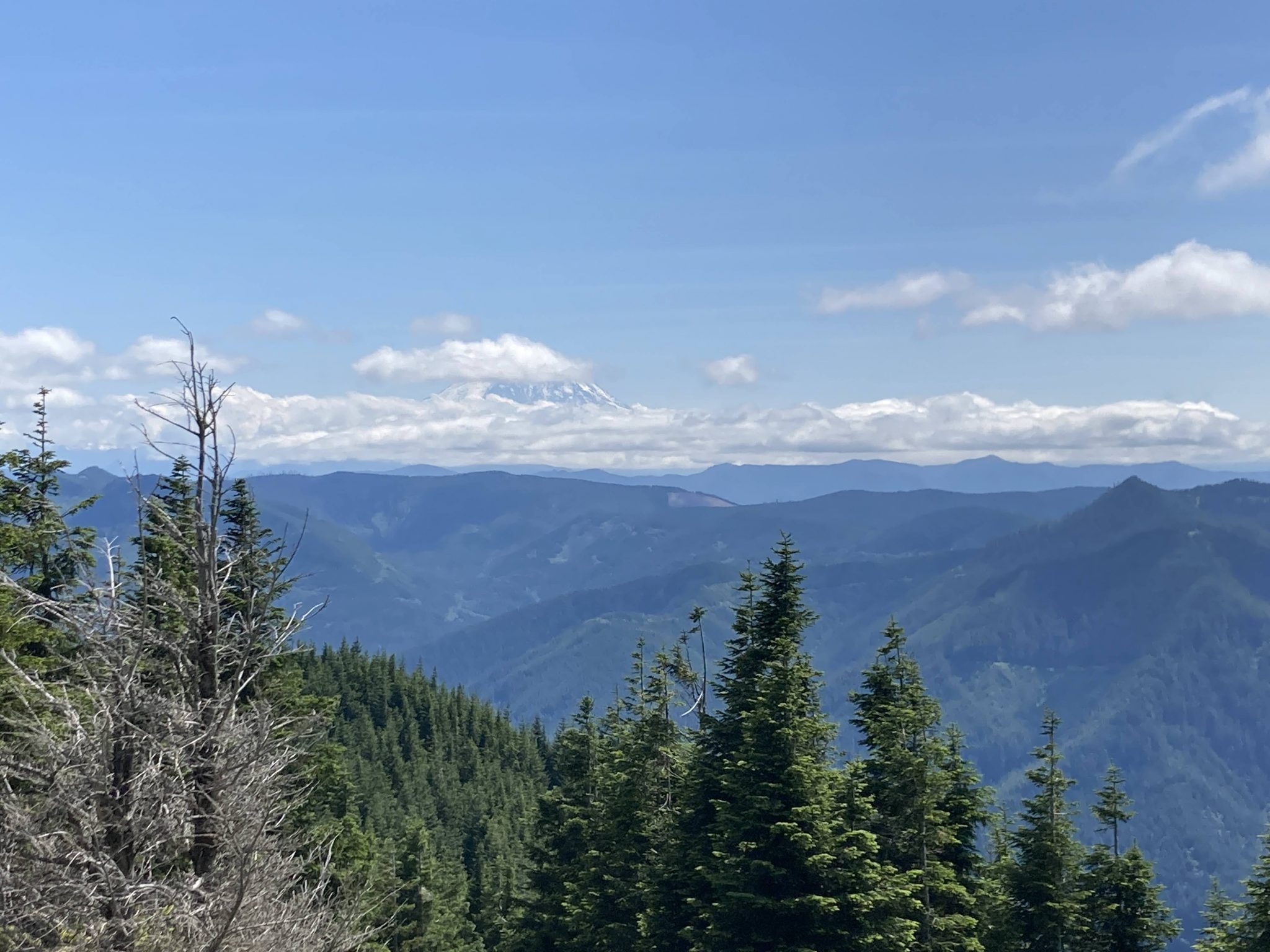 Mt Washington Hike near Seattle WAY better than Mt Si! Ordinary