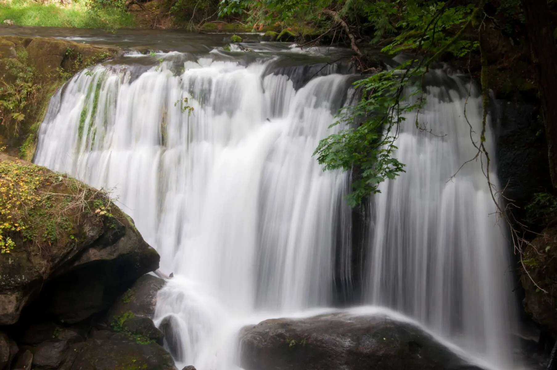 A long exposure of a waterfall coming over rocks in a forest