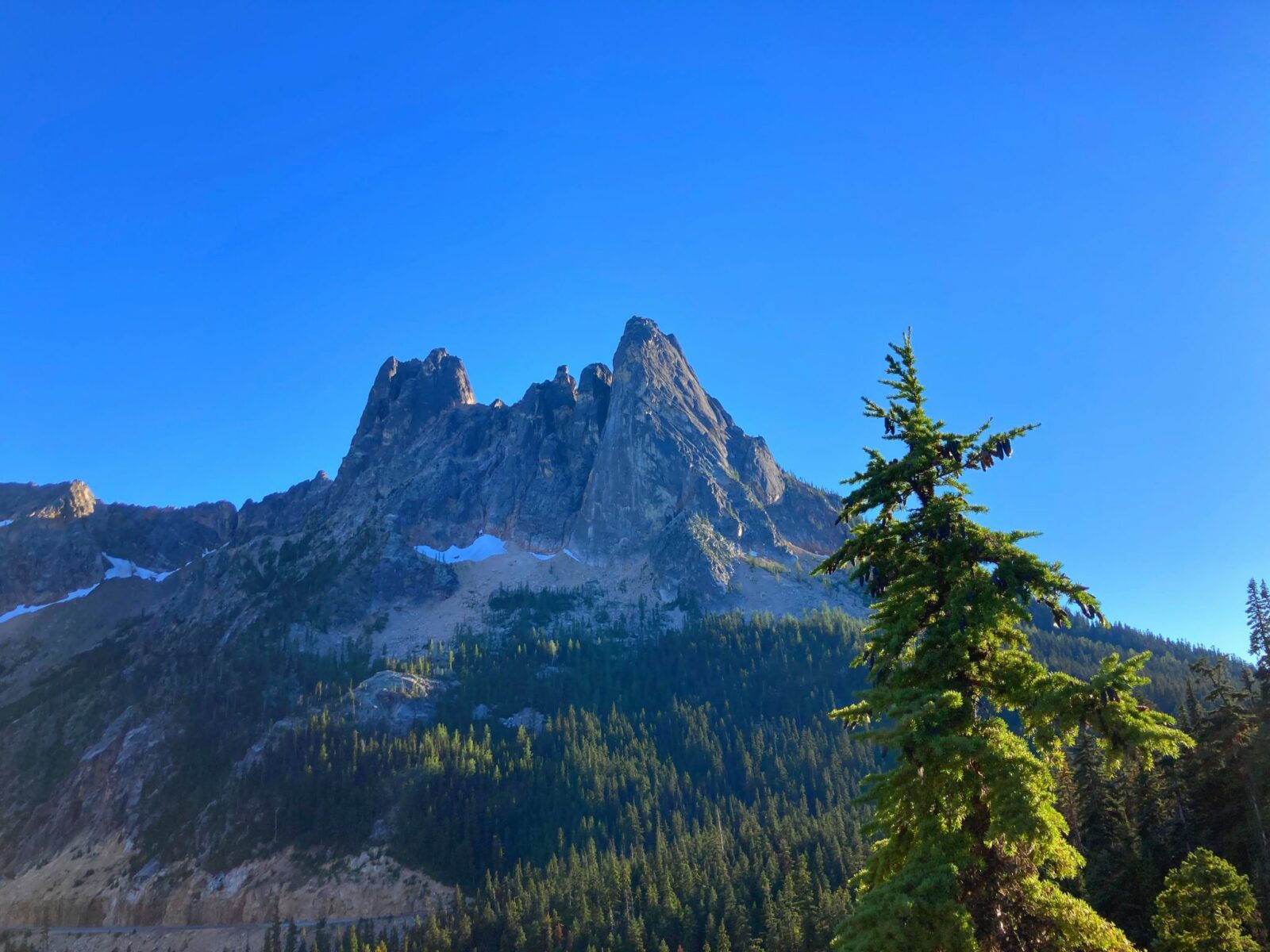 Jagged steep mountains rise above trees in the North Cascades on a sunny day