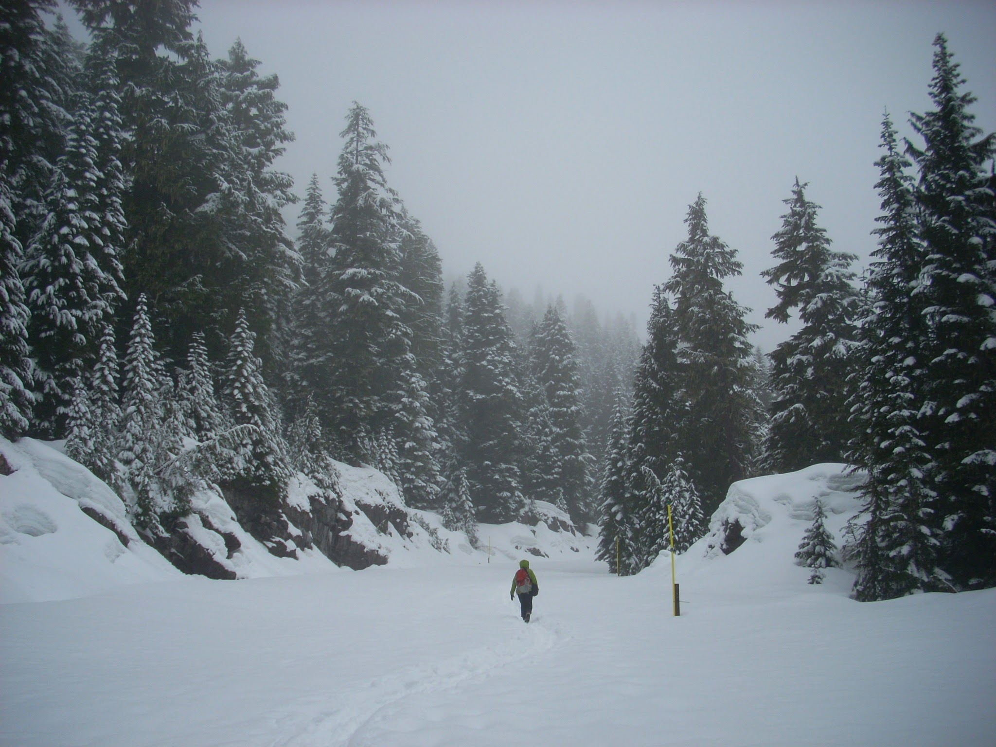 Snowshoe Mt Rainier National Park Winter and Spring Adventure Guide