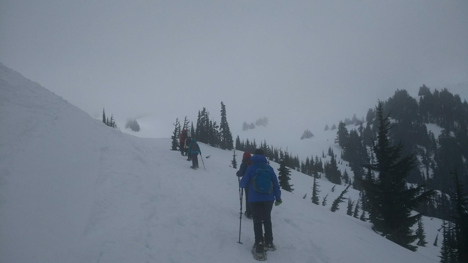 Snowshoe Mt Rainier National Park Winter and Spring Adventure Guide