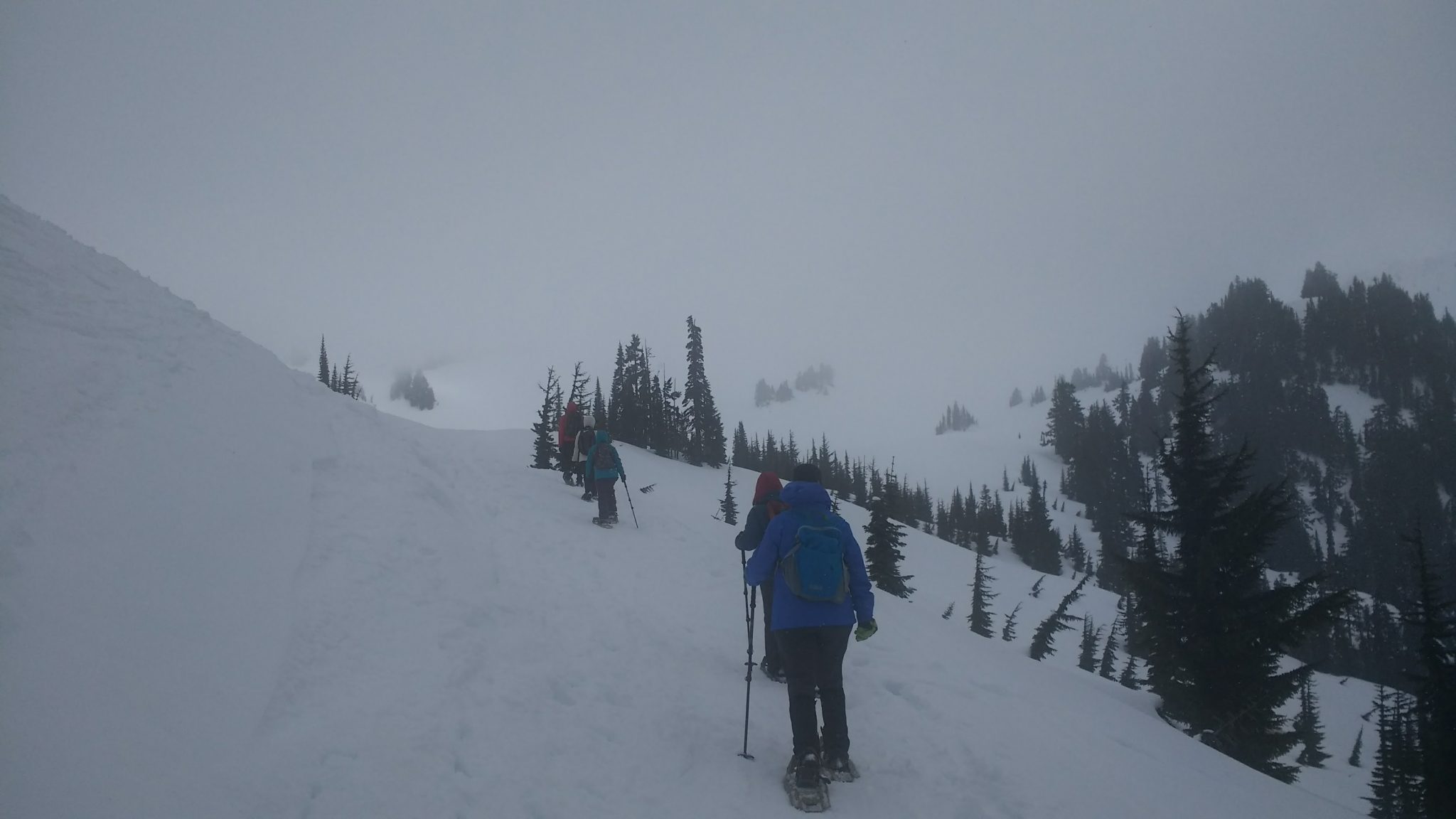 Snowshoe Mt Rainier National Park Winter and Spring Adventure Guide