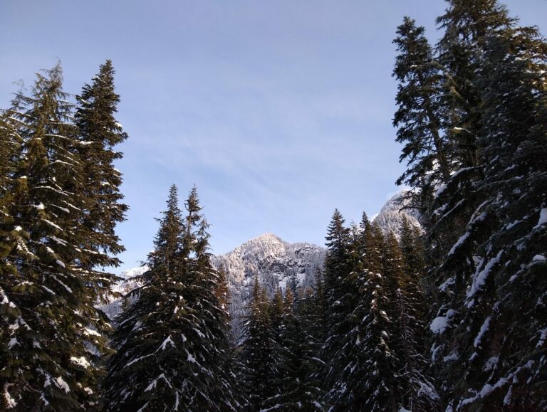 Gold Creek Valley Snowshoe at Snoqualmie Pass Ordinary Adventures
