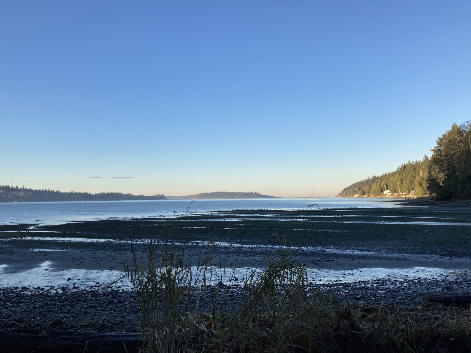 A beach at low tide just before sunset with other forested islands across the way