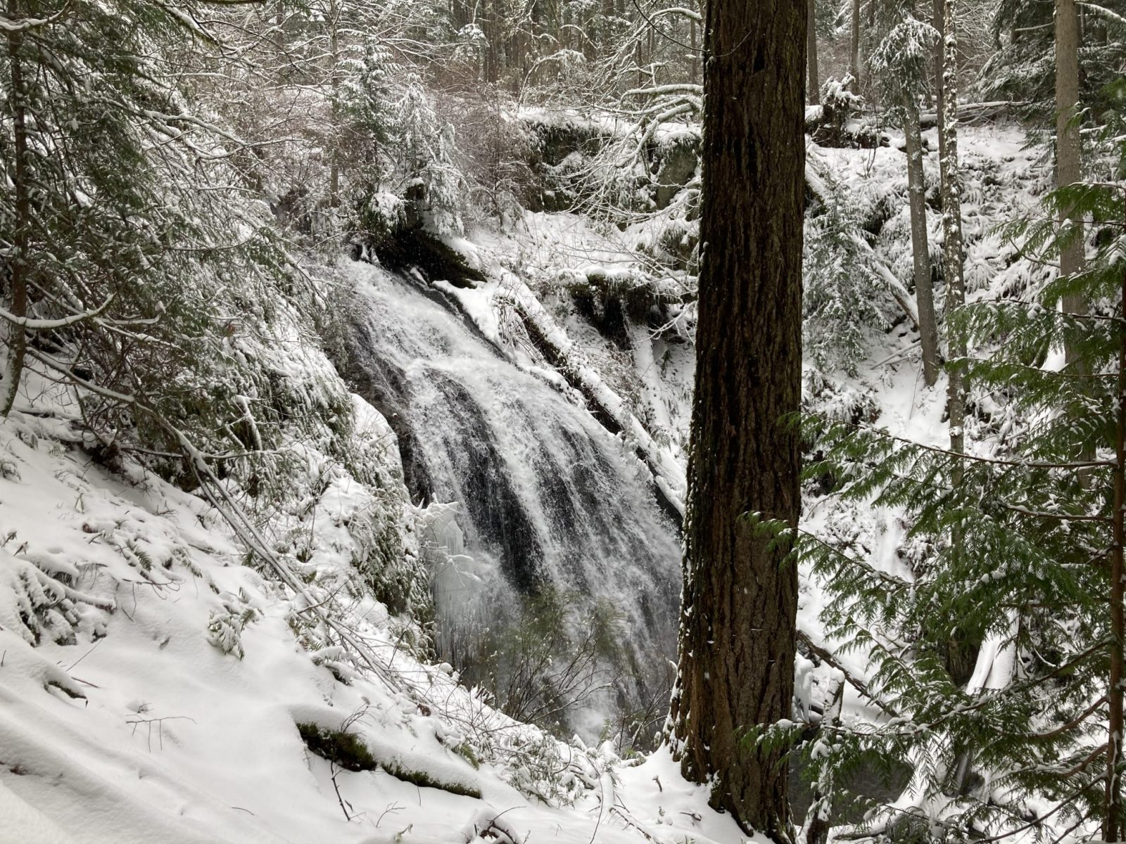 Cascade Falls, a short and mostly flat Orcas Island hike after a snowfall. The waterfall is partially frozen and has lots of water rushing over it. Snowy rocks and evergreen trees surround it