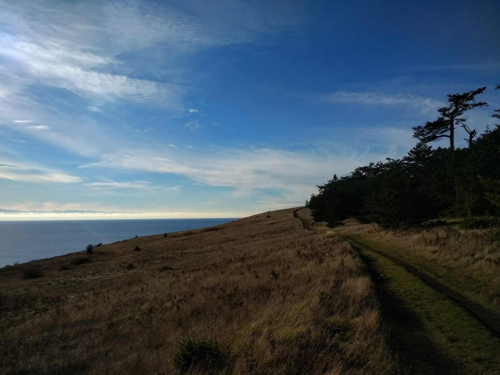 a wide trail above a bluff next to a forest above the ocean