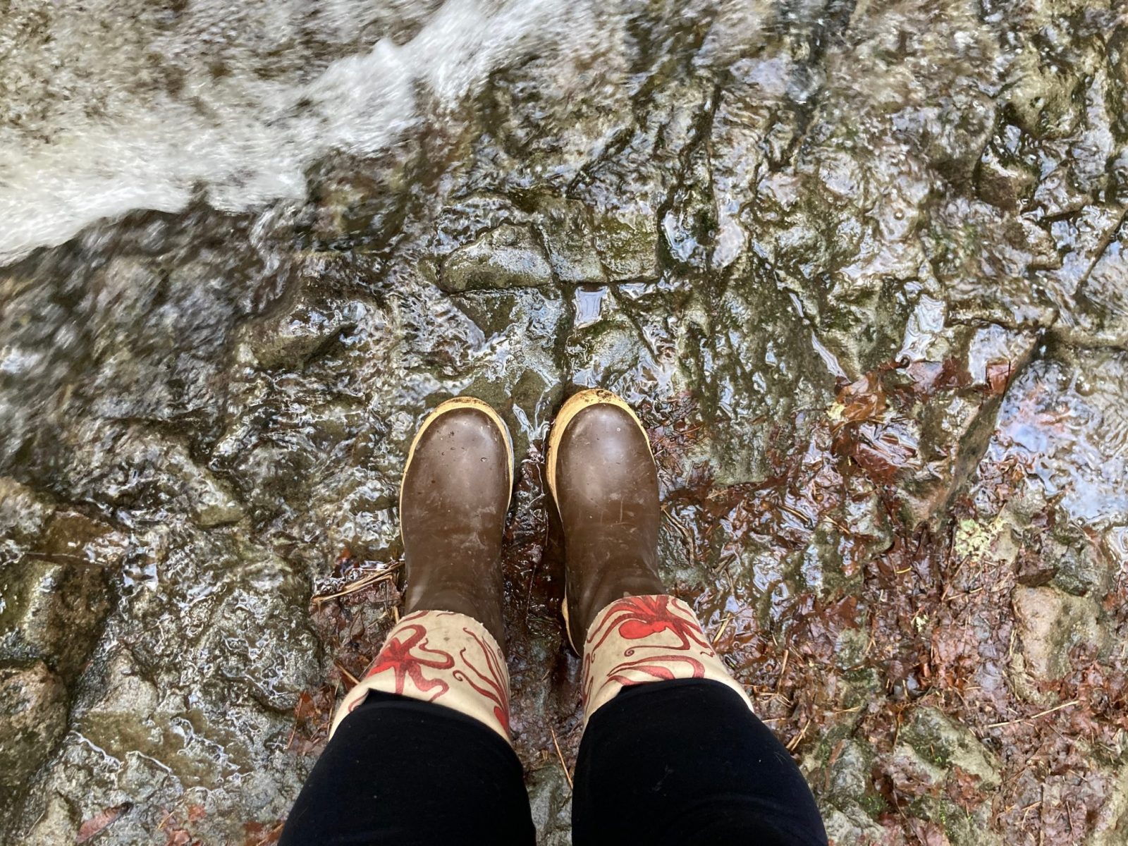 Most popular and best boots in Alaska, brown rubber boots of the Xtratuf brand. These ones have a decorative liner folded down with red octopus. They are seen from above by the person wearing them, who is standing at the edge of a stream