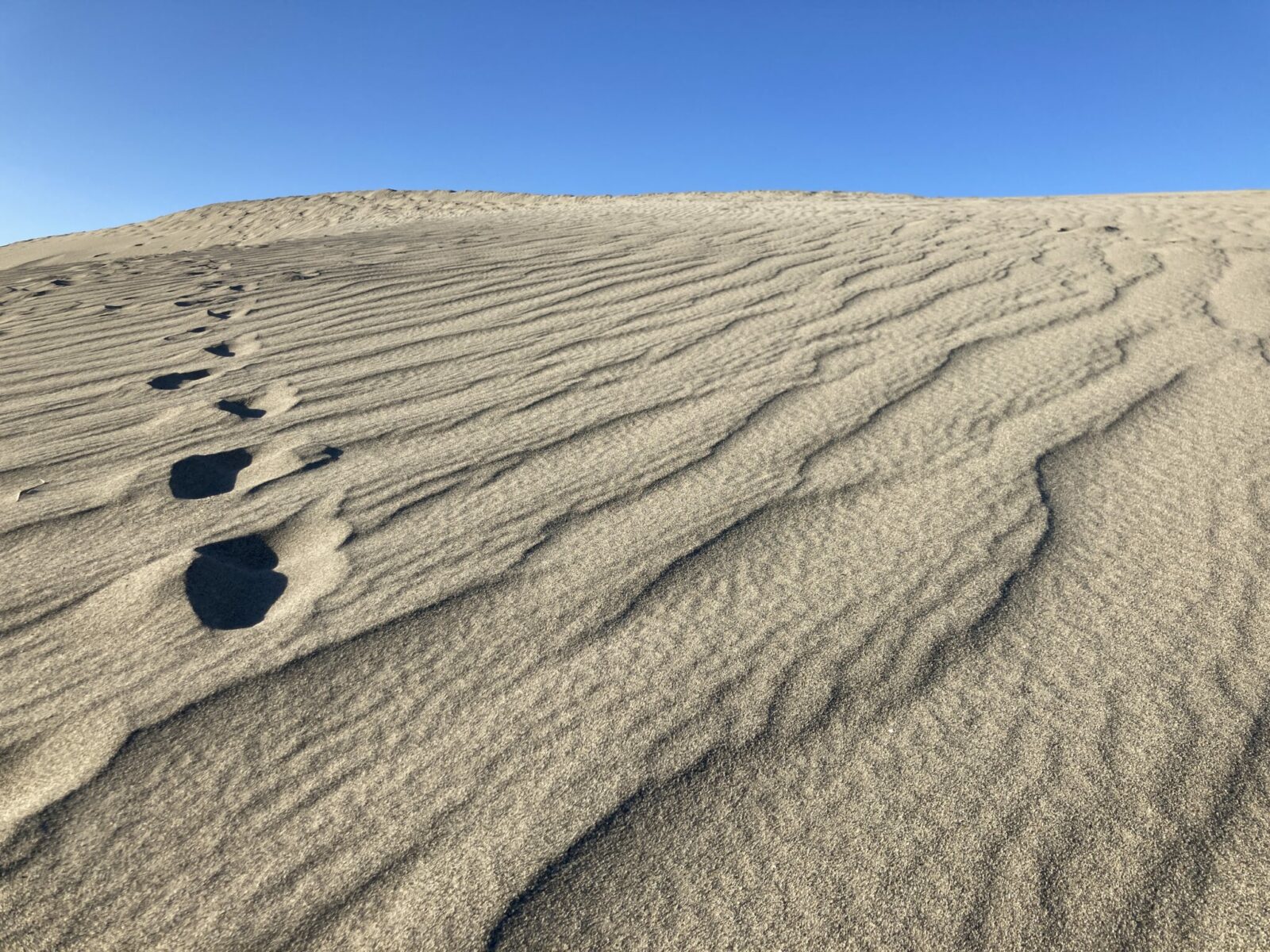 A few footprints on a sand dune against the blue sky.