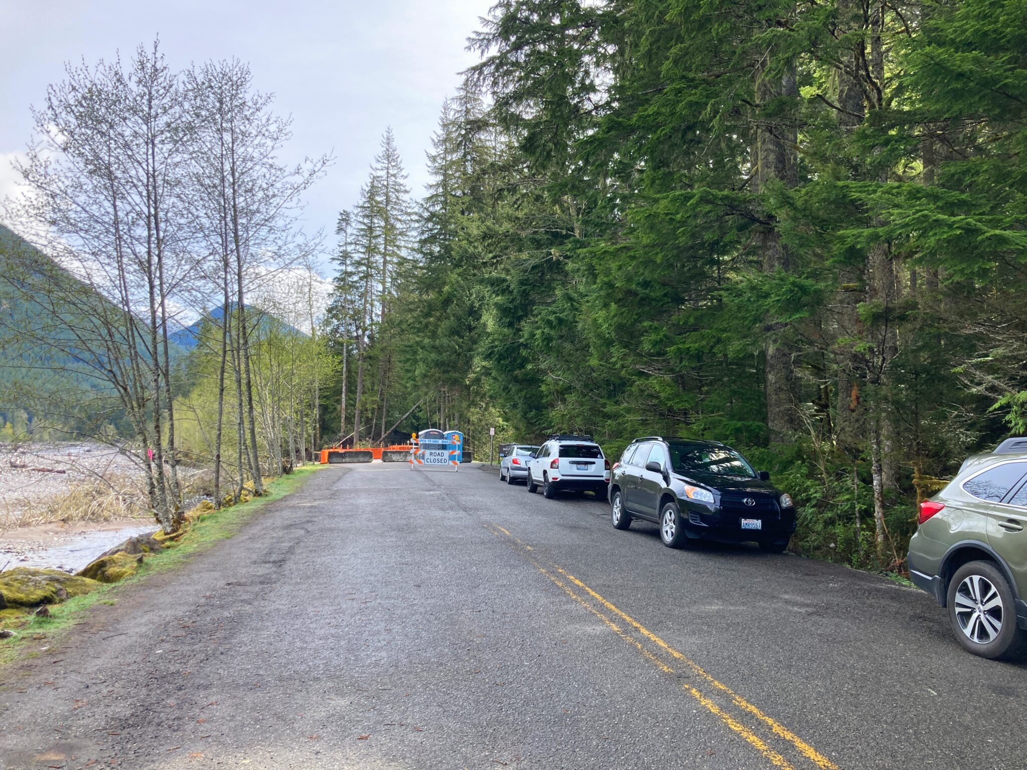 Carbon River Trail Waterfalls and Giant Trees in Mt Rainier National