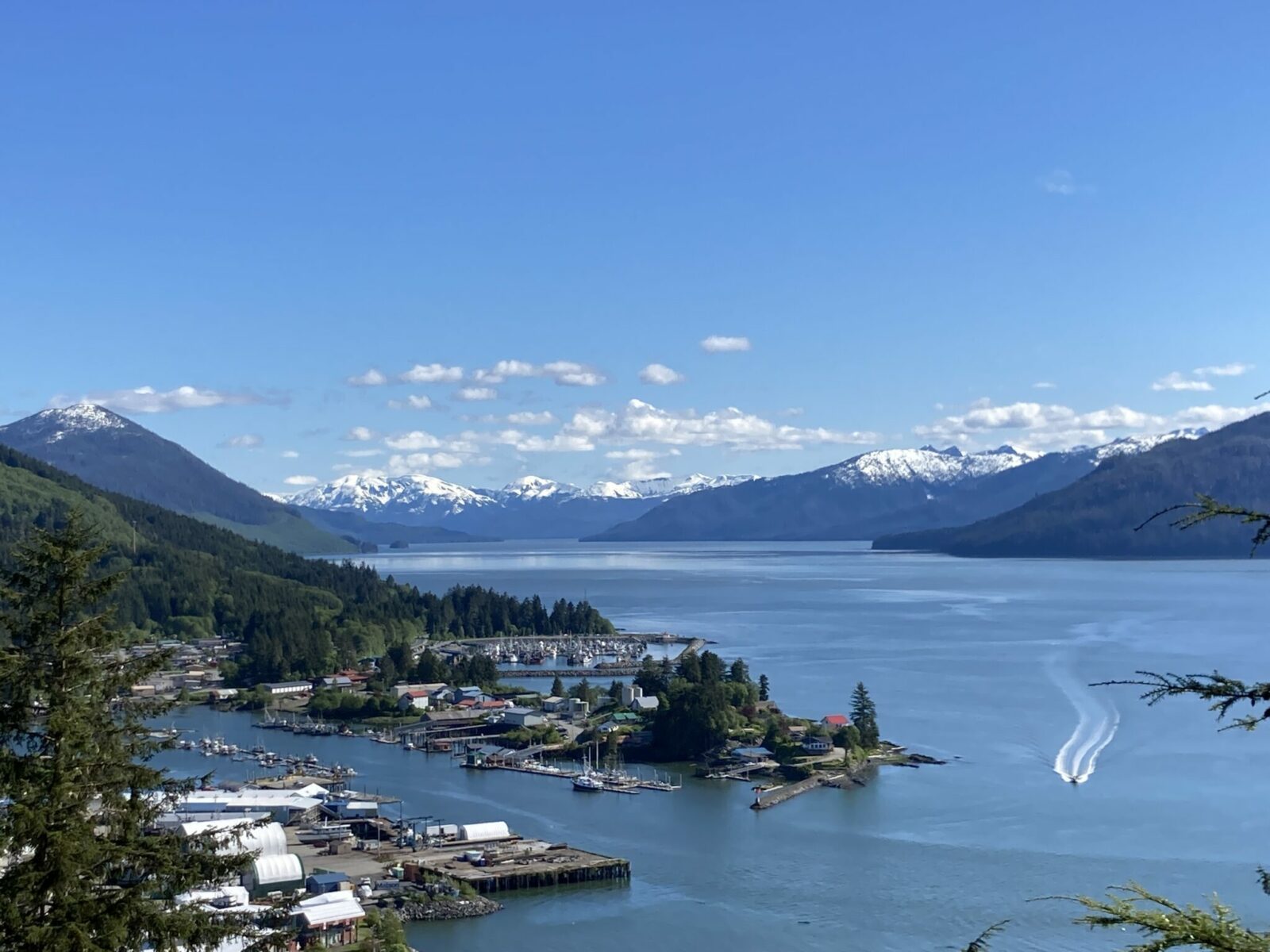 A view of Wrangell Alaska from the Mt Dewey Overlook. You can see several harbors in the town below through the trees and water and mountains in the distance.