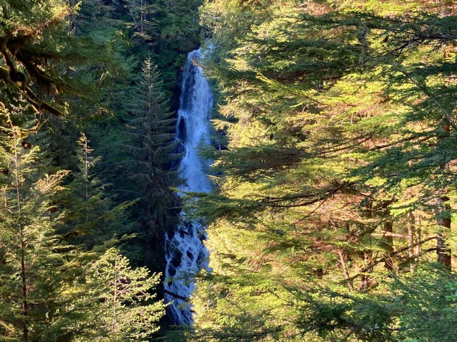 A waterfall falls straight down hundreds of feet through a forest