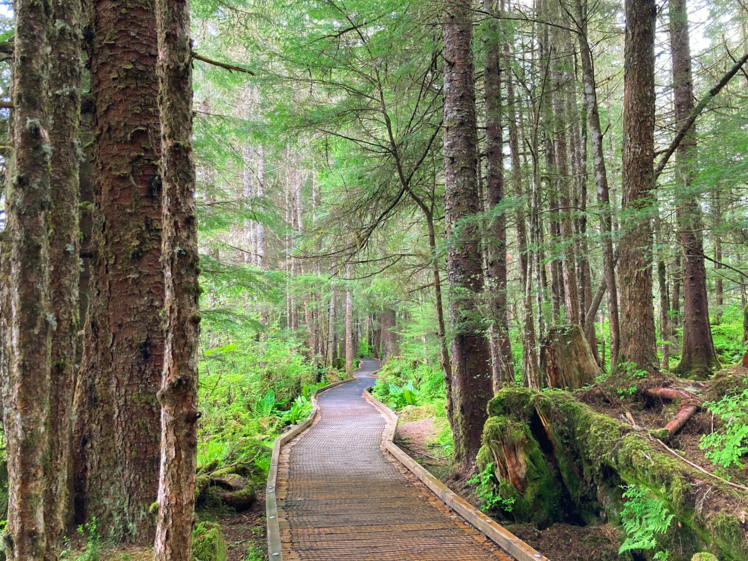 Things to do in Petersburg Alaska Ordinary Adventures