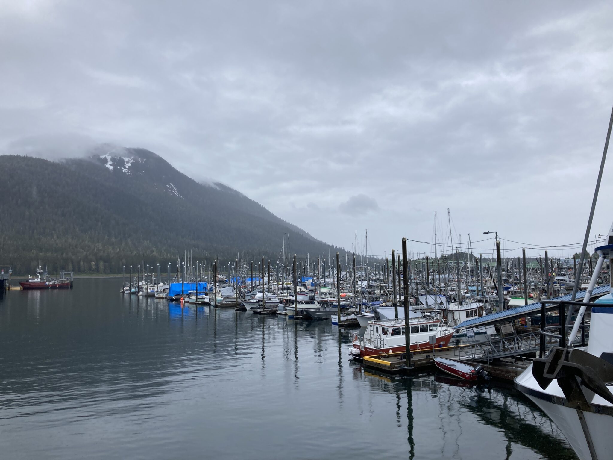 Things to do in Petersburg Alaska Ordinary Adventures