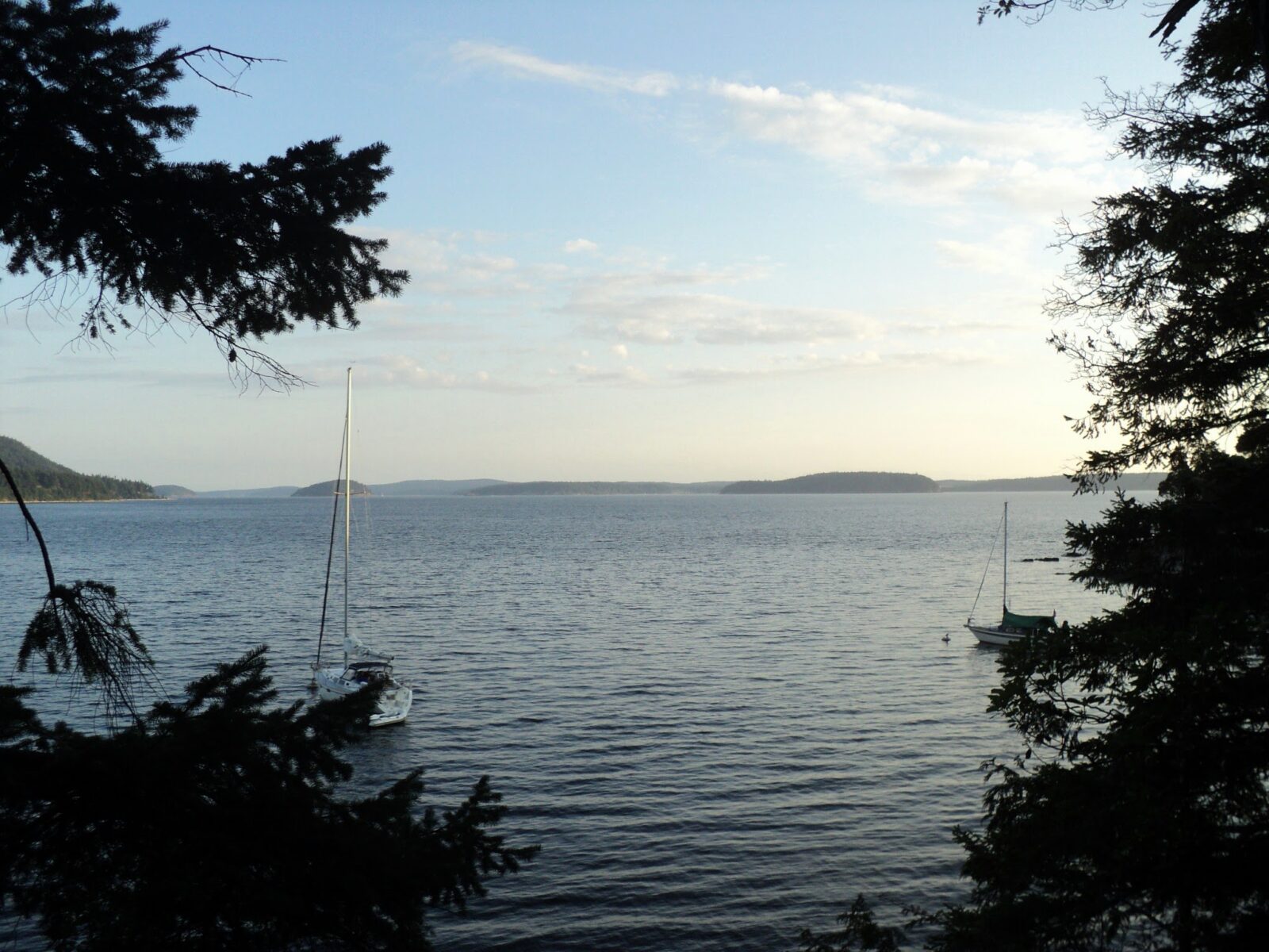 Two sailboats in a bay at dusk are framed by evergreen trees. There are islands in the distance